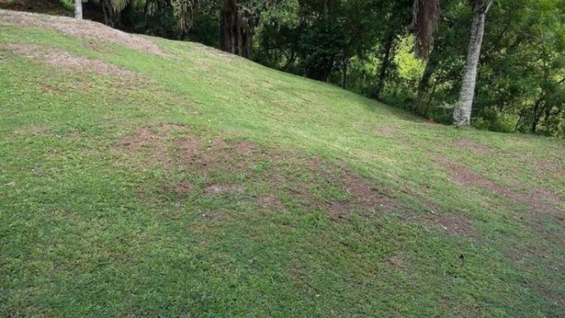 Foto Terreno en Venta en , Panamá - U$D 74.077 - TEV6676 - BienesOnLine