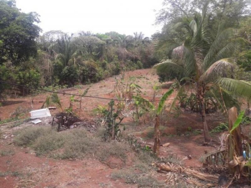 Foto Terreno en Venta en , Panamá - U$D 1.500.000 - TEV6813 - BienesOnLine