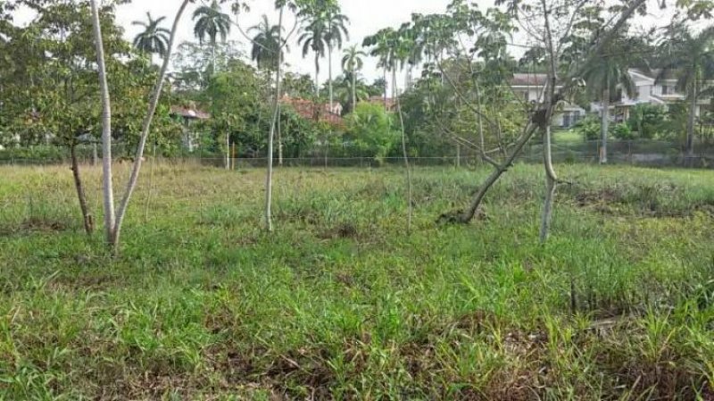 Foto Terreno en Venta en , Panamá - U$D 550.000 - TEV6766 - BienesOnLine