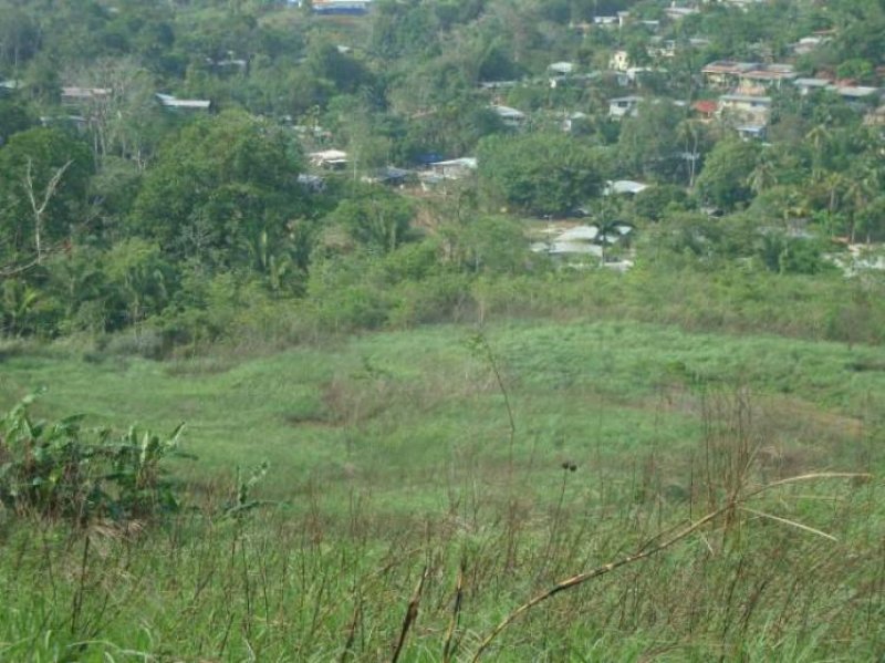 Foto Terreno en Venta en Vista Alegre, Panamá - U$D 2.025.000 - TEV5414 - BienesOnLine