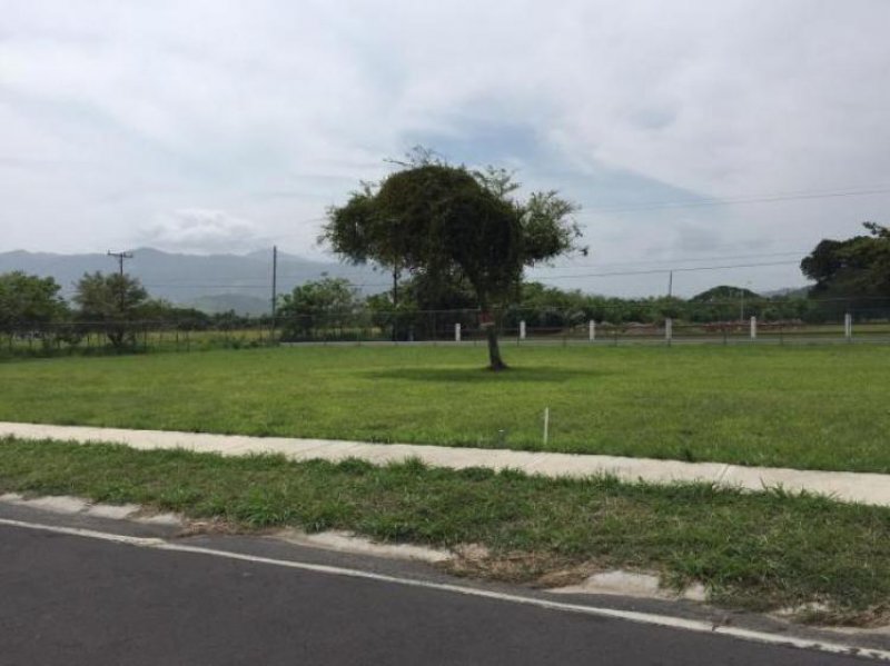 Foto Terreno en Venta en , Panamá - U$D 33.000 - TEV6656 - BienesOnLine