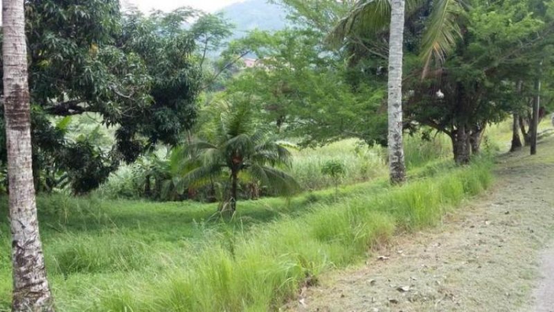 Foto Terreno en Venta en Las Cumbres, Panamá - U$D 190.000 - TEV6705 - BienesOnLine