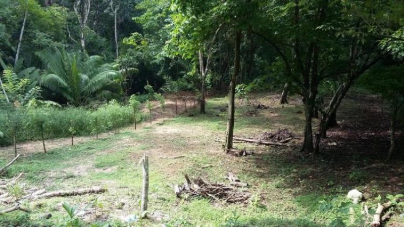 Foto Terreno en Venta en Las Cumbres, Panamá - U$D 57.000 - TEV6664 - BienesOnLine