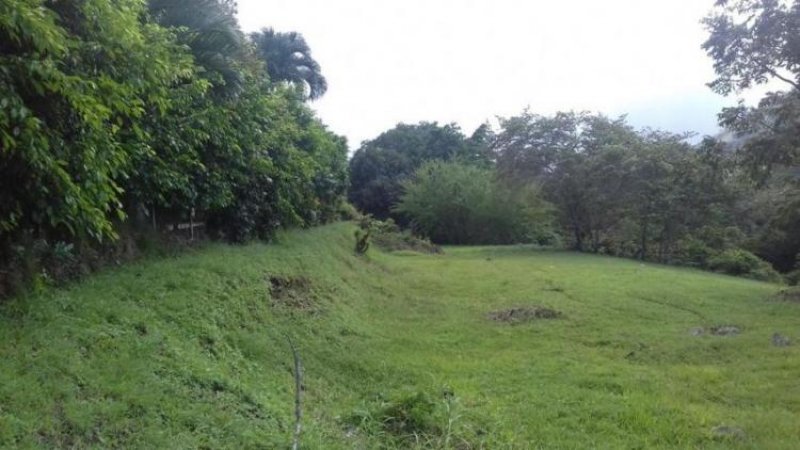 Foto Terreno en Venta en Las Cumbres, Panamá - U$D 305.000 - TEV6727 - BienesOnLine