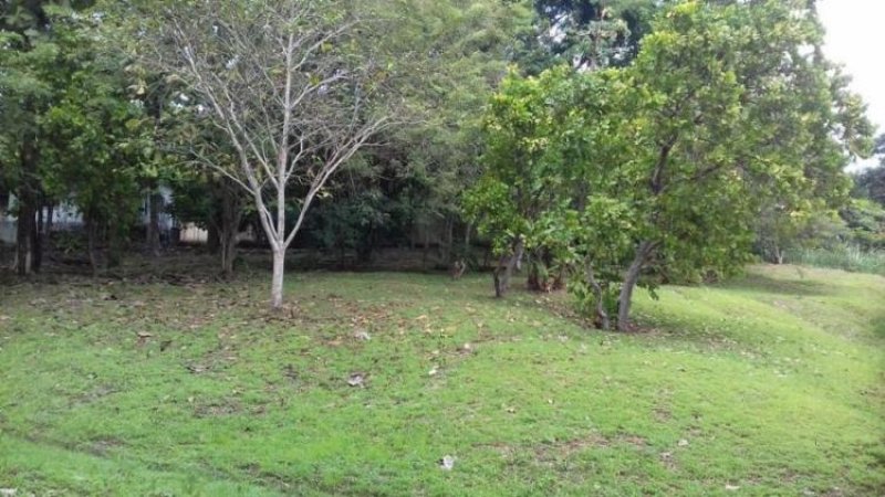 Foto Terreno en Venta en Las Cumbres, Panamá - U$D 110.000 - TEV6691 - BienesOnLine