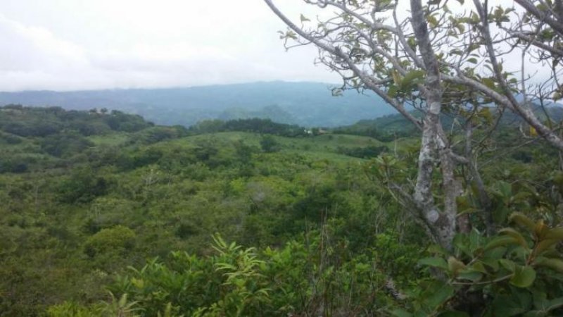 Foto Terreno en Venta en Chame, Panamá - U$D 5.550.000 - TEV5124 - BienesOnLine