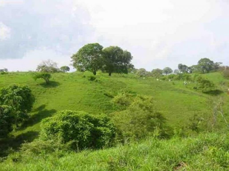 Foto Terreno en Venta en , Panamá - U$D 1.575.000 - TEV6818 - BienesOnLine