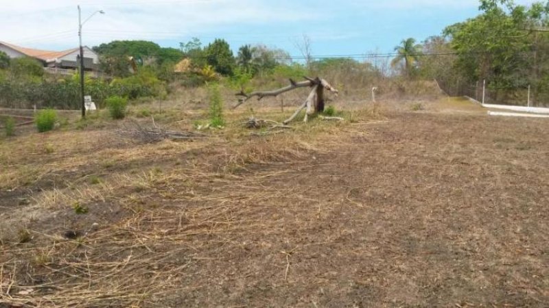 Foto Terreno en Venta en San Carlos, Panamá - U$D 160.000 - TEV6702 - BienesOnLine