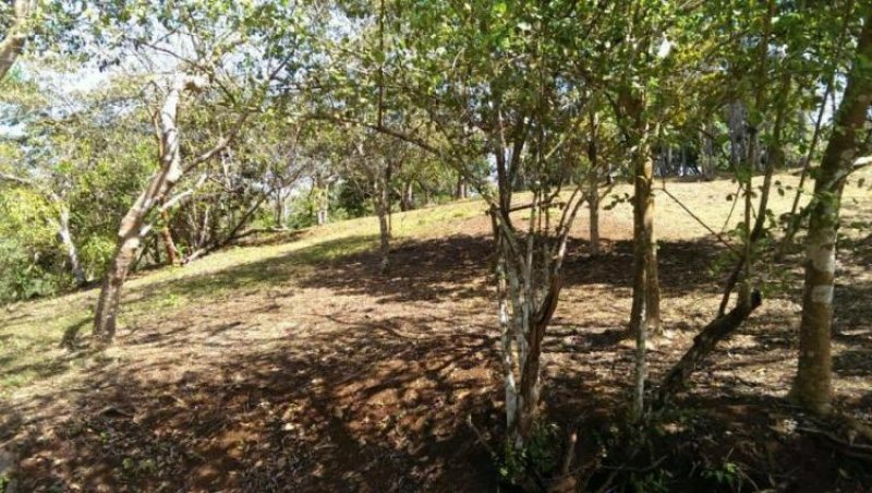 Foto Terreno en Venta en Sorá, Panamá - U$D 90.000 - TEV6686 - BienesOnLine