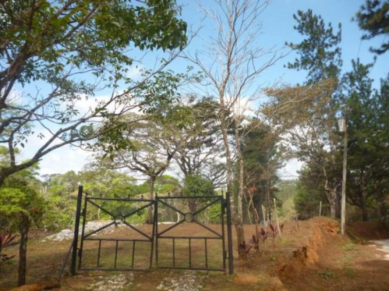 Foto Terreno en Venta en Tocumen, Panamá - U$D 2.100.000 - TEV6830 - BienesOnLine