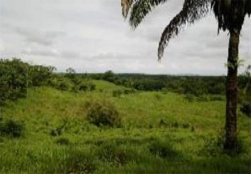 Foto Terreno en Venta en , Veraguas - U$D 550.000 - TEV6765 - BienesOnLine