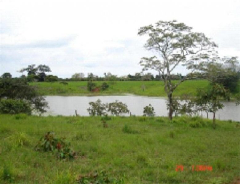 Foto Terreno en Venta en , Veraguas - U$D 4.300.000 - TEV6845 - BienesOnLine