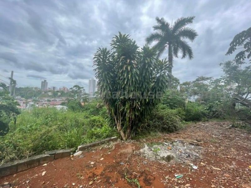 Terreno en Venta en Pueblo Nuevo Ciudad de Panamá, Panamá