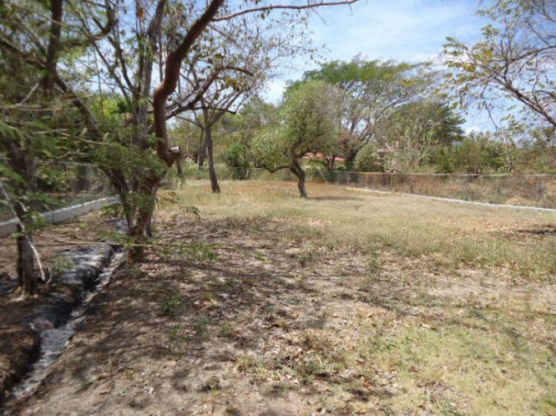 Foto Terreno en Venta en Nueva Gorgona, Panamá - U$D 100.000 - TEV5326 - BienesOnLine