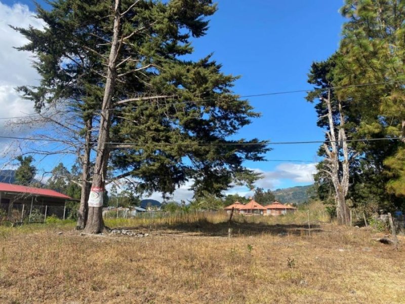 Foto Terreno en Venta en Volcan, Volcan, Chiriquí - U$D 65.000 - TEV67939 - BienesOnLine