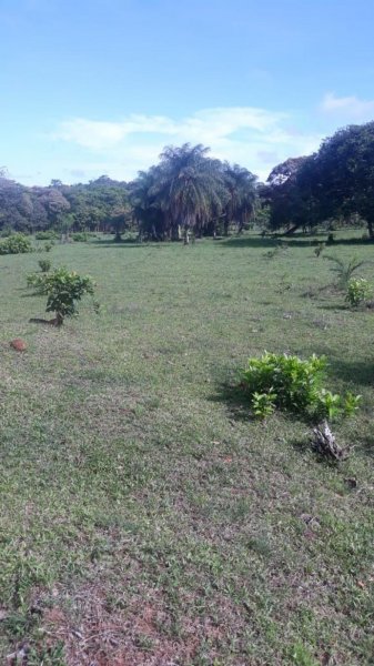 Terreno en Venta en Punta Delgadita Punta Delgadita, Veraguas