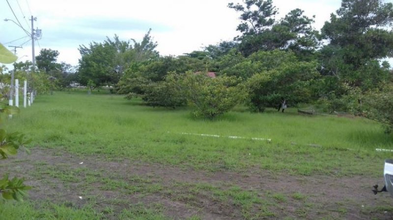 Foto Terreno en Venta en Río Hato, Coclé - U$D 118.000 - TEV7791 - BienesOnLine