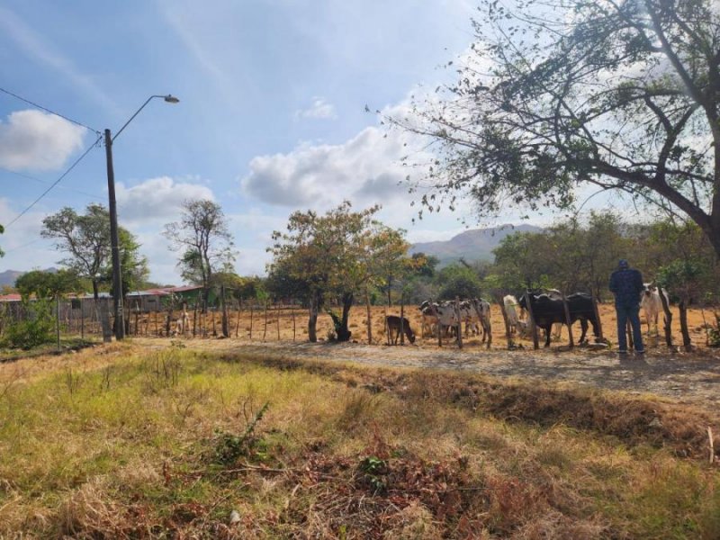 Terreno en Venta en El Potrero El Potrero, Coclé