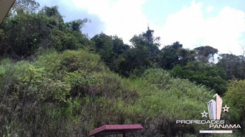 Foto Terreno en Venta en Buena Vista, Colón - U$D 450.000 - TEV8809 - BienesOnLine