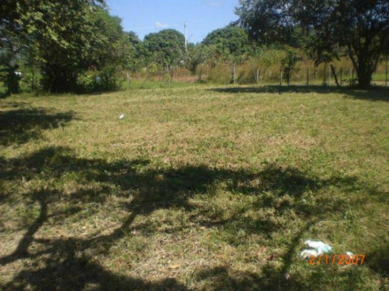 Foto Terreno en Venta en gorgona, Ciudad de Panamá, Panamá - U$D 60.000 - TEV5999 - BienesOnLine