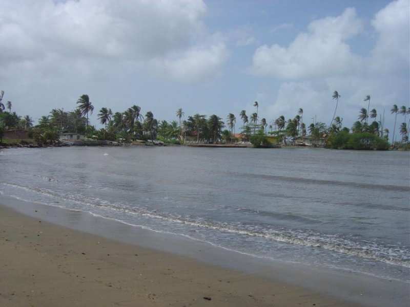 Terreno en Venta en  Palenque, Colón