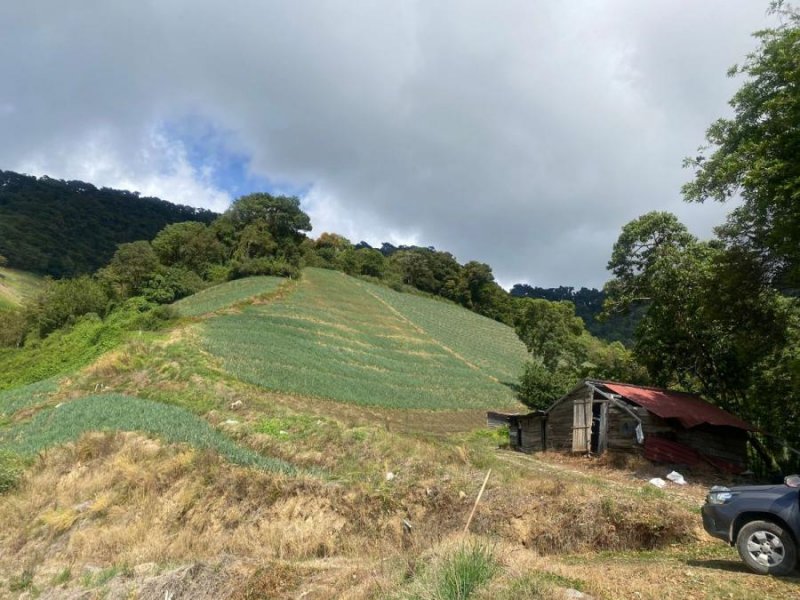 Foto Terreno en Venta en Las Nubes, Las Nubes, Chiriquí - U$D 750.000 - TEV67934 - BienesOnLine