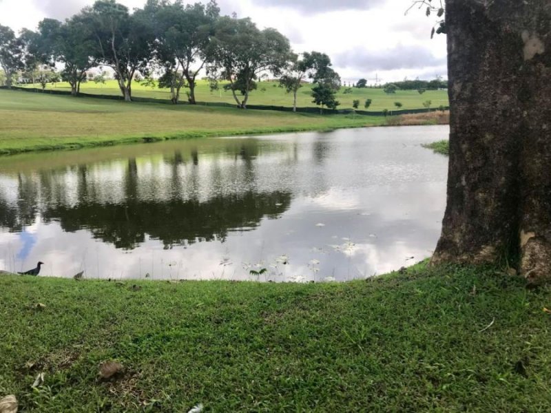 Terreno en Venta en  BRISAS DEL GOLF, Panamá