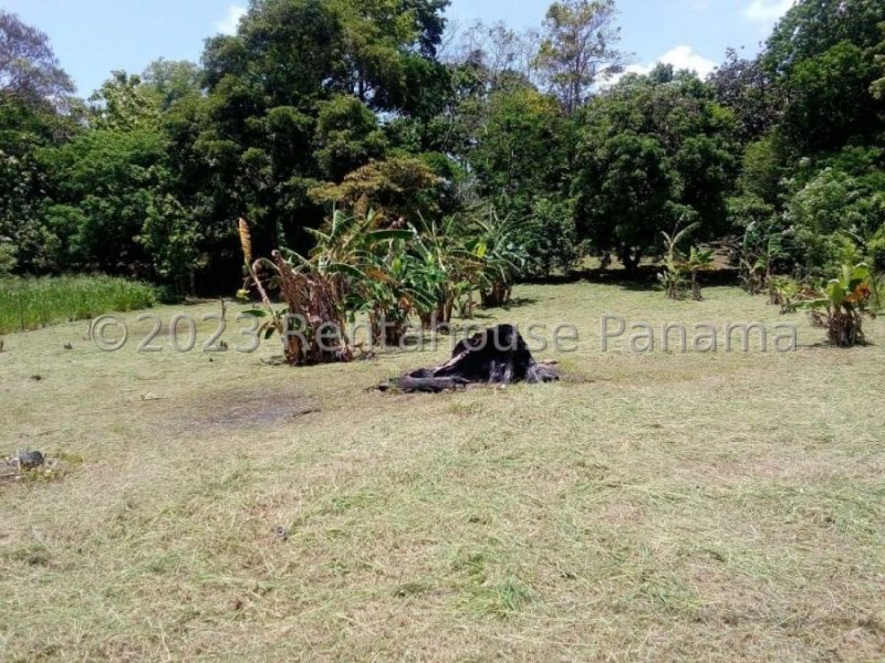 Terreno en Venta en  CAPIRA, Panamá