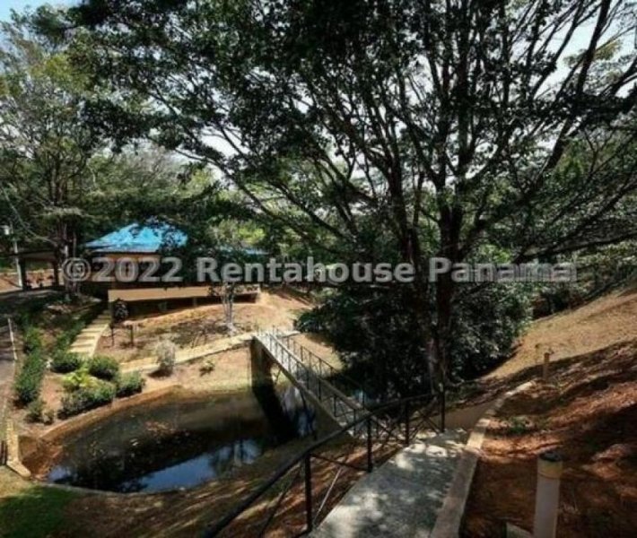 Foto Terreno en Venta en CERRO VIENTO, Panamá - U$D 32.500 - TEV61792 - BienesOnLine