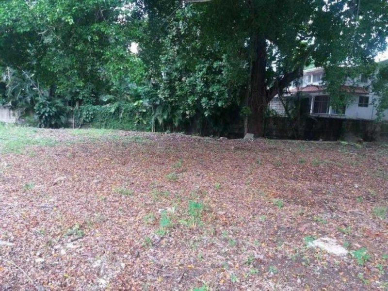 Foto Terreno en Venta en EL CARMEN, Panamá - U$D 1.065.060 - TEV64352 - BienesOnLine