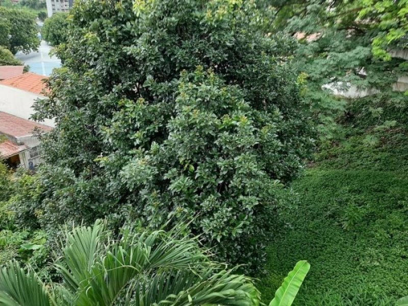 Foto Terreno en Venta en HATO PINTADO, Panamá - U$D 400.000 - TEV33296 - BienesOnLine