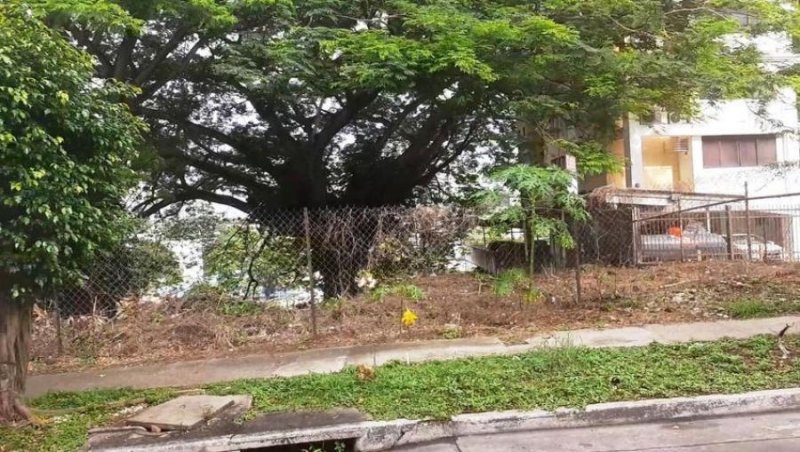 Foto Terreno en Venta en HATO PINTADO, Panamá - U$D 350.000 - TEV58057 - BienesOnLine