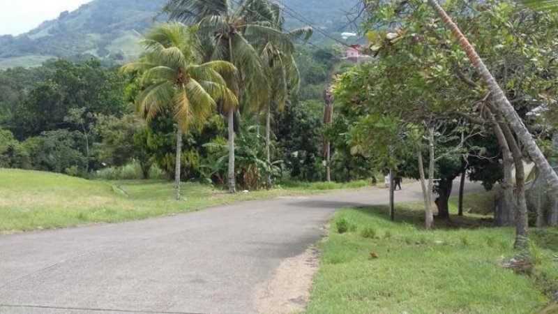 Foto Terreno en Venta en Las Cumbres, Panamá - U$D 190.000 - TEV25905 - BienesOnLine