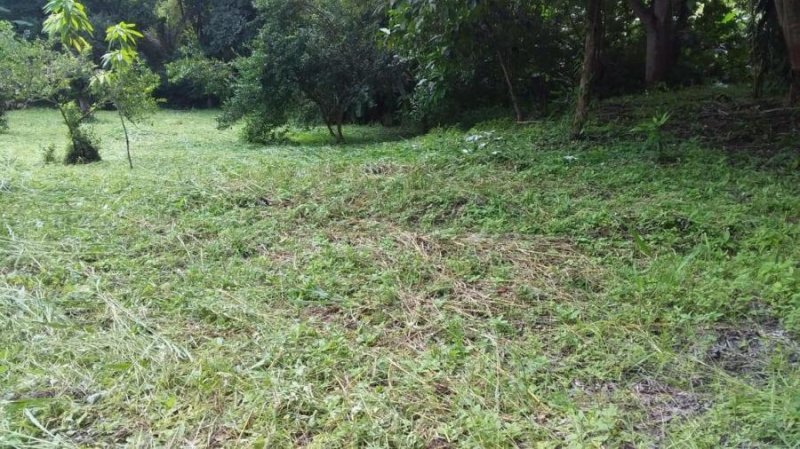 Foto Terreno en Venta en PARQUE LEFEVRE, Panamá - U$D 800.000 - TEV46381 - BienesOnLine