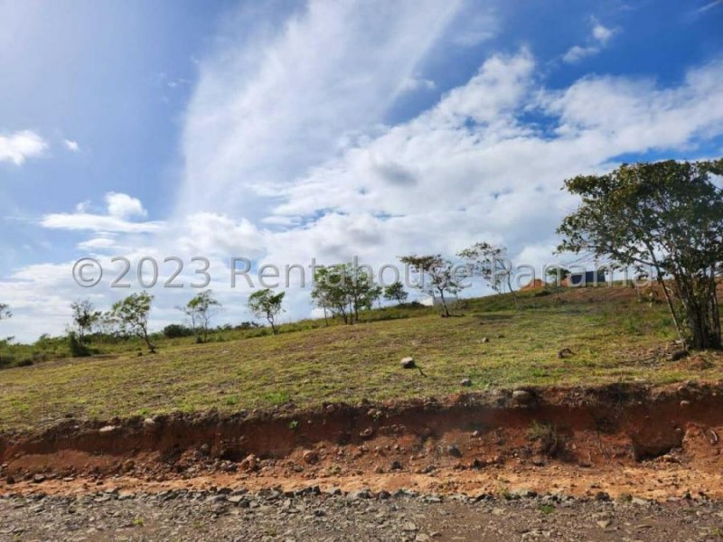 Foto Terreno en Venta en Penonome, Panamá - U$D 48.000 - TEV61460 - BienesOnLine