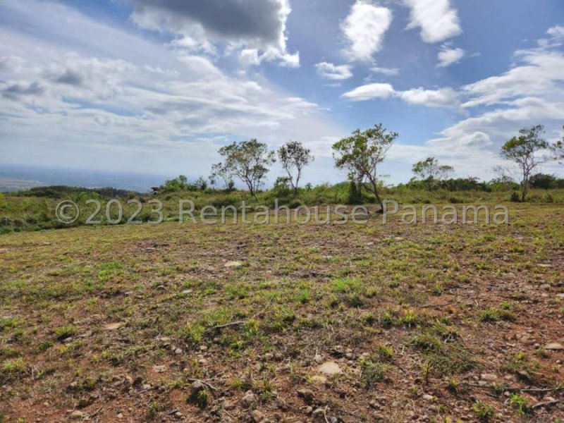 Foto Terreno en Venta en Penonome, Panamá - U$D 40.000 - TEV61461 - BienesOnLine