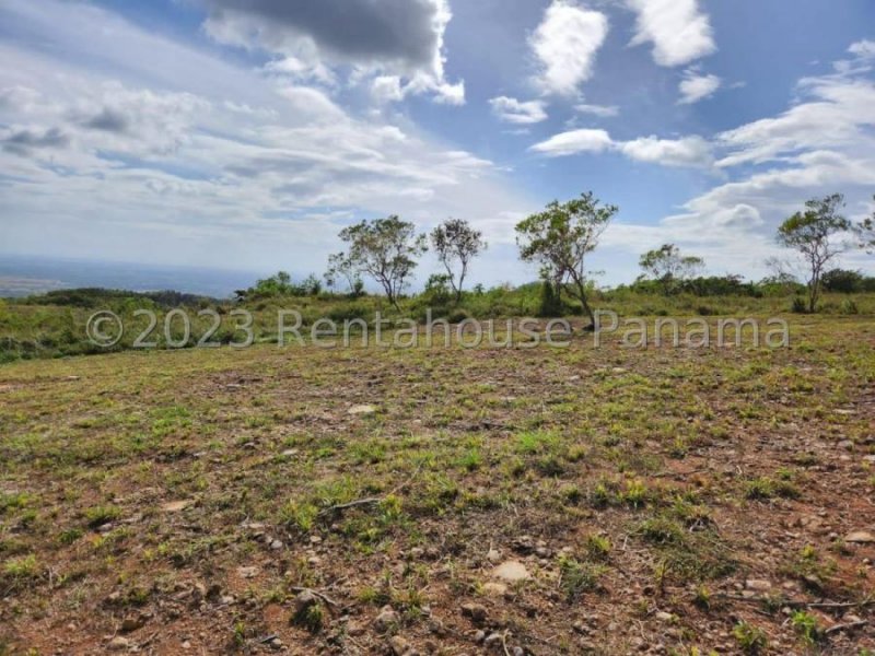 Terreno en Venta en  PENONOME, Panamá