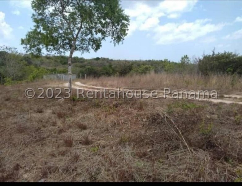 Terreno en Venta en  SAN CARLOS, Panamá