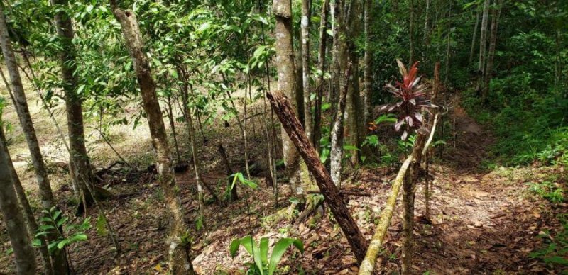 Terreno en Venta en  VILLA CARMEN, Panamá