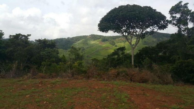 Foto Terreno en Venta en 24 de Diciembre, Panamá - U$D 36.000 - TEV5291 - BienesOnLine