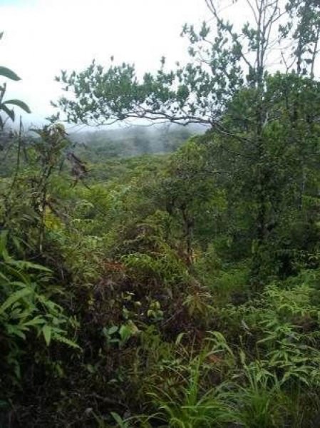 Titled land in Cerro Azul