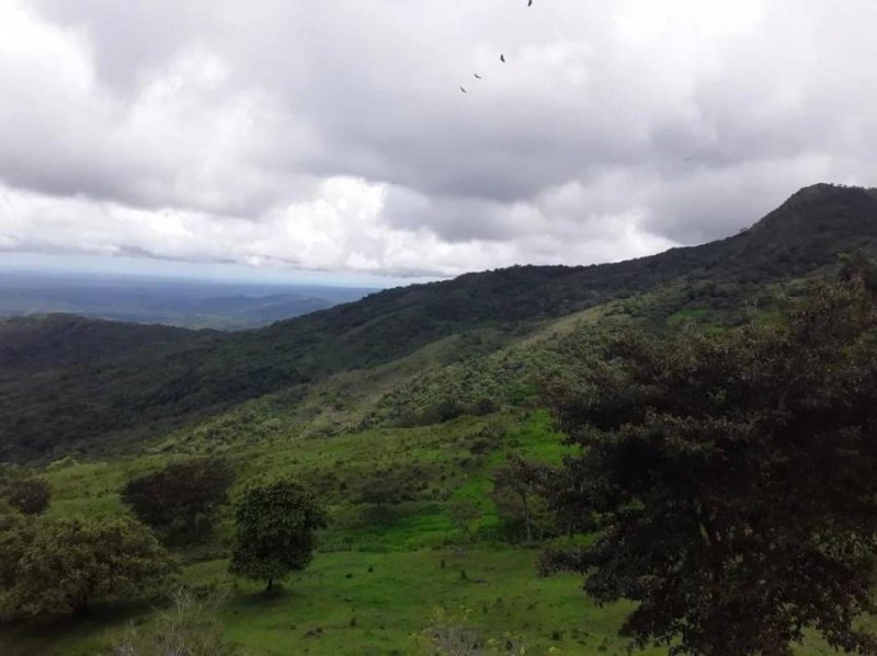 Terreno en Venta en  Bajo Boquete, Chiriquí