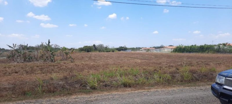 Foto Terreno en Venta en Chirú, Chirú, Antón, Coclé - U$D 340.000 - TEV62906 - BienesOnLine