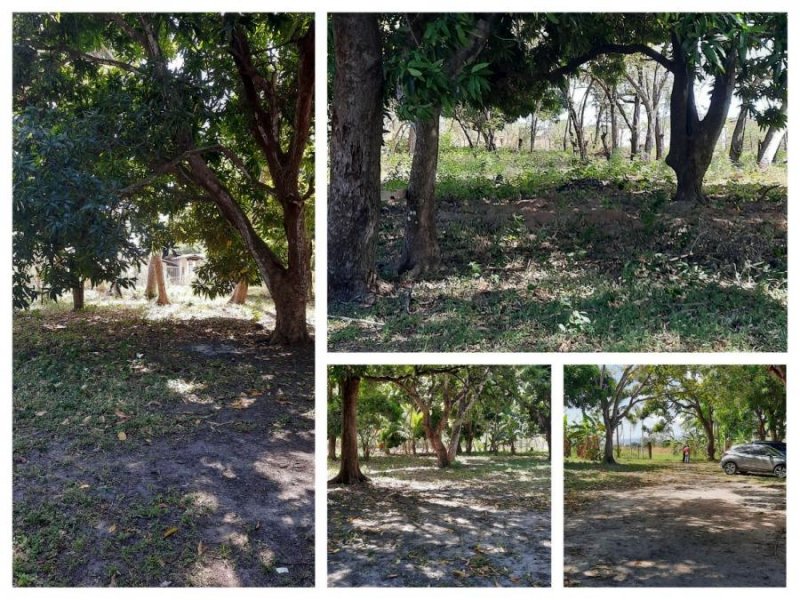 Foto Terreno en Venta en Penonomé, Miraflores, Coclé - U$D 85.000 - TEV69491 - BienesOnLine