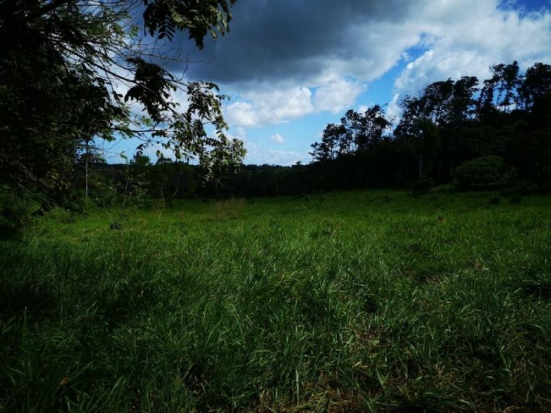 Foto Terreno en Venta en La Chorrera, Panamá - U$D 560.000 - TEV33847 - BienesOnLine