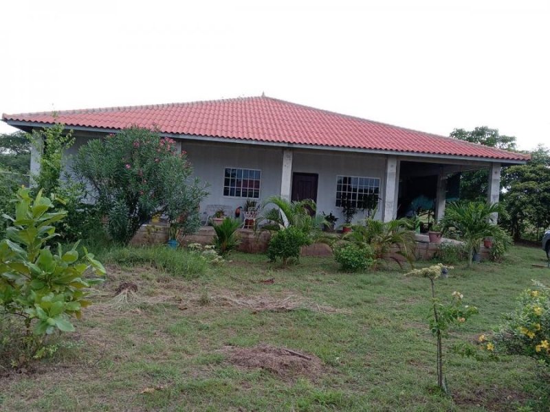 Casa en Venta en Monagrillo Monagrillo, Herrera