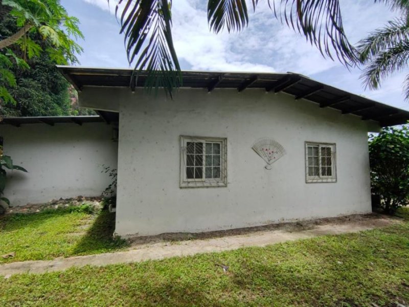 Foto Casa en Venta en Río Hato, Las Guías de Oriente, Río Hato, Coclé - U$D 70.000 - CAV62427 - BienesOnLine