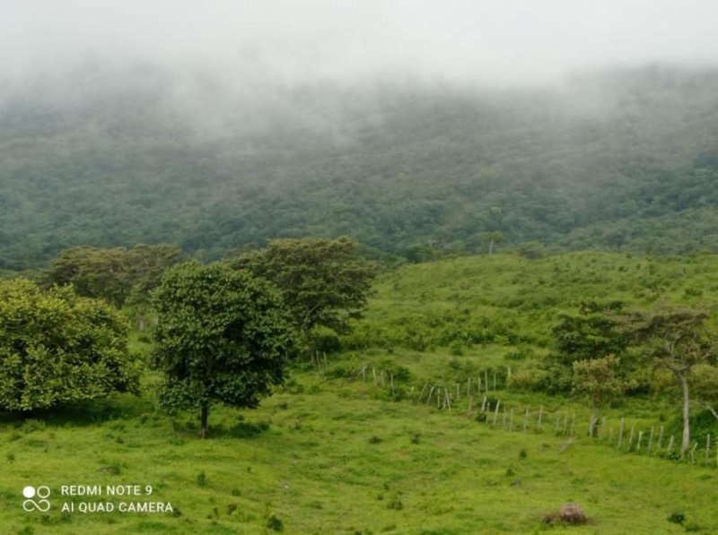 Finca en Venta en Caldera Alto el Cope, Chiriquí