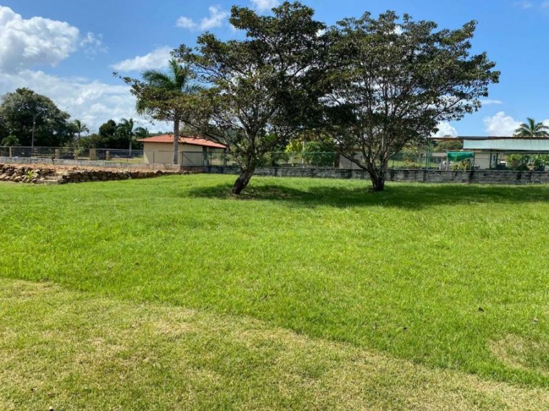 Foto Terreno en Venta en La Pita, La Pita de Capira, Panamá - U$D 45.000 - TEV46813 - BienesOnLine