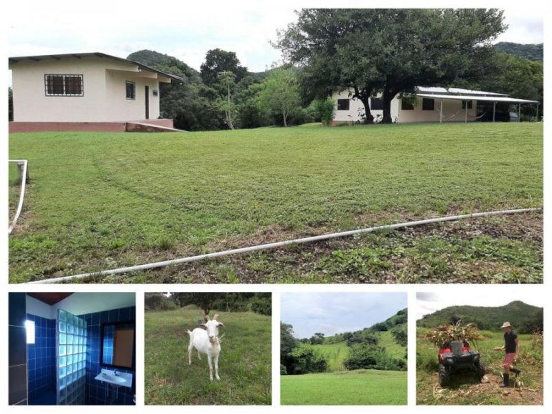 Finca en Venta en Penonomé Penonomé, Coclé